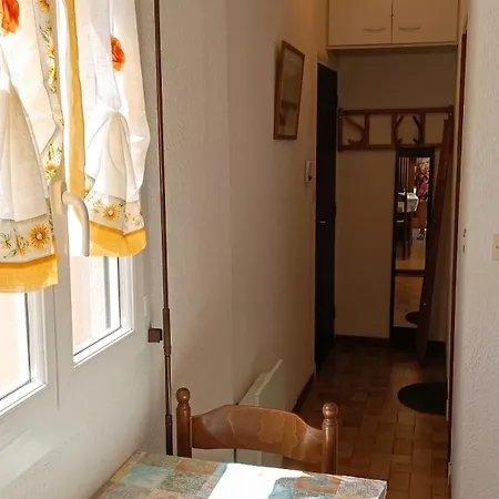 à Amélie-les-bains-palalda, 20 M² Avec Terrasse